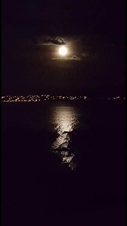 Serenity On Wakeman Taupo Dış mekan fotoğraf